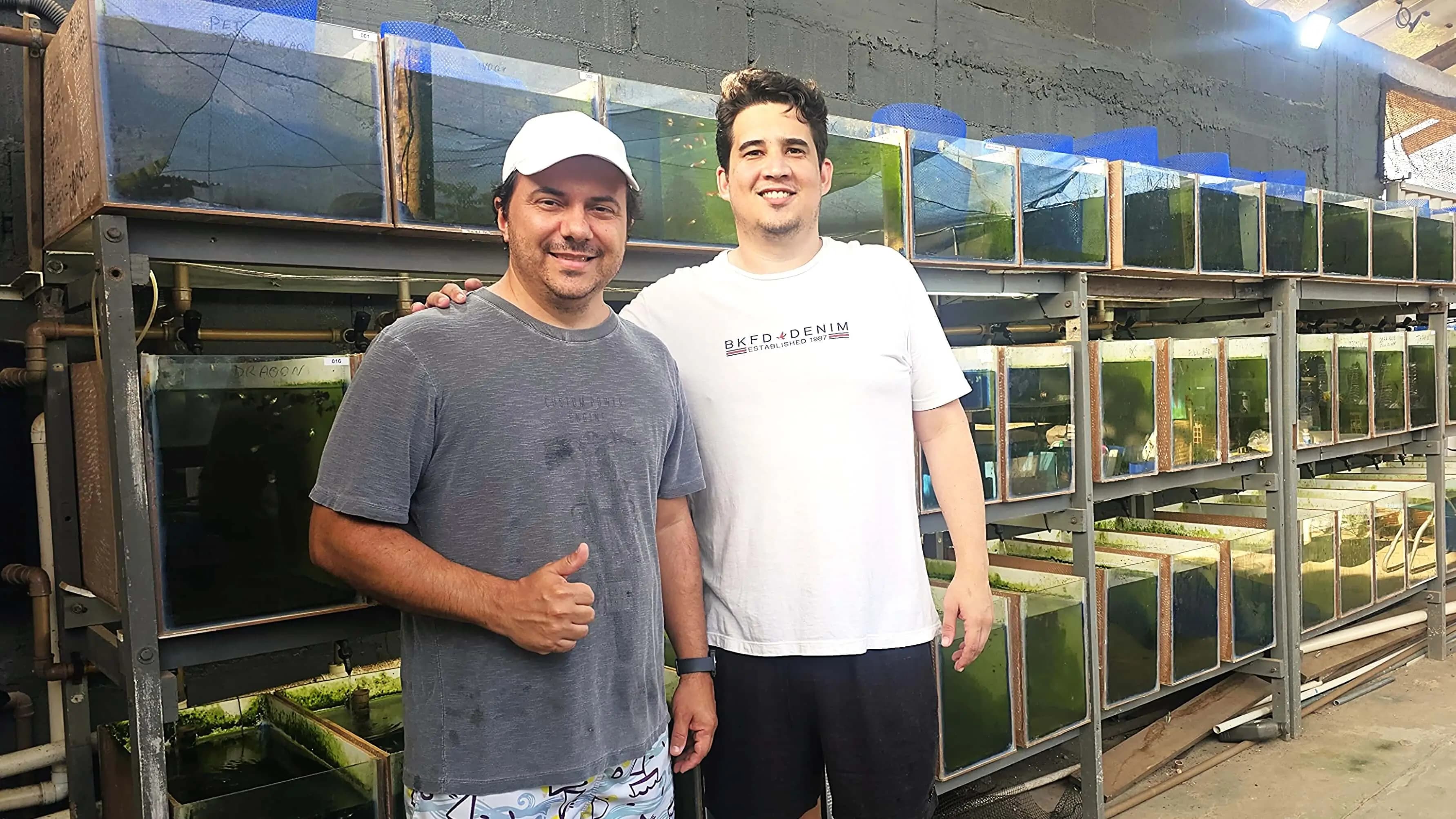 Manassés e Lucas na estufa da Marchezi Guppy Farm em Guarapari